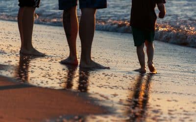 Summer Holiday – A Chance to Reconnect, or Problems Laid Bare?